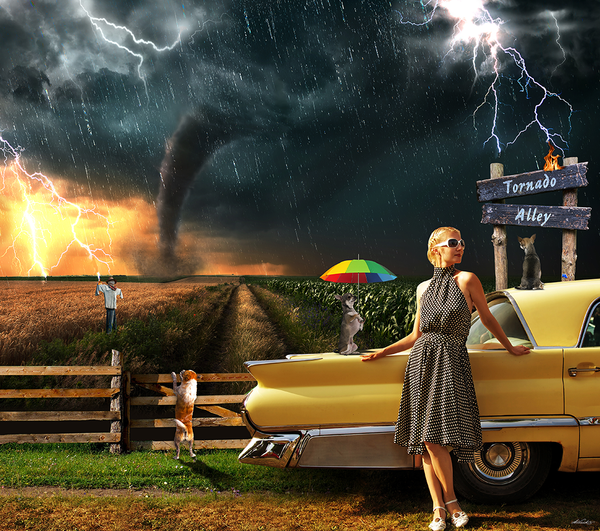 Grace Under Pressure