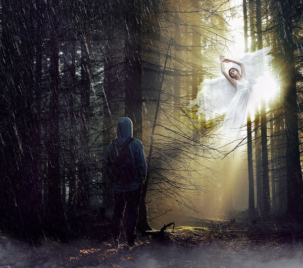 Once Lost & Now Found