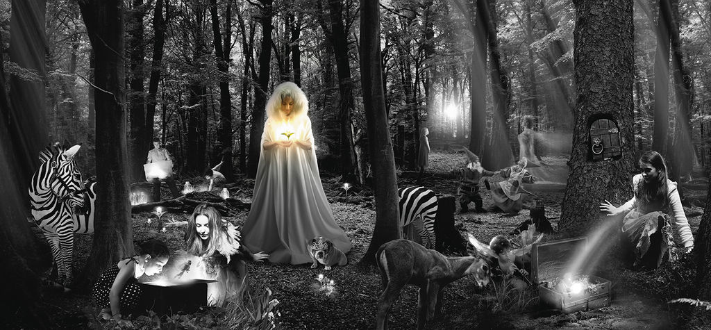 The Forest Of Great Finds